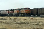 Eastbound Grain Train